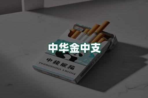 中华金中支